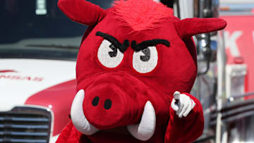 Nov 5, 2022; Fayetteville, Arkansas, USA; Arkansas Razorbacks mascot during the Razorbacks walk prior to the game against the Liberty Flames at Donald W. Reynolds Razorback Stadium. Mandatory Credit: Nelson Chenault-Imagn Images