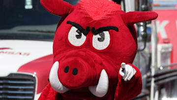 Nov 5, 2022; Fayetteville, Arkansas, USA; Arkansas Razorbacks mascot during the Razorbacks walk prior to the game against the Liberty Flames at Donald W. Reynolds Razorback Stadium. Mandatory Credit: Nelson Chenault-Imagn Images