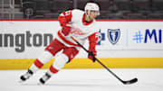 Apr 6, 2021; Detroit, Michigan, USA; Detroit Red Wings center Valtteri Filppula (51) during the game against the Nashville Predators at Little Caesars Arena. Mandatory Credit: Tim Fuller-Imagn Images
