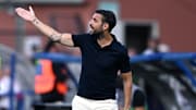 Cesc Fabregas