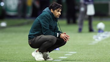 Palmeiras vive momento delicado na temporada