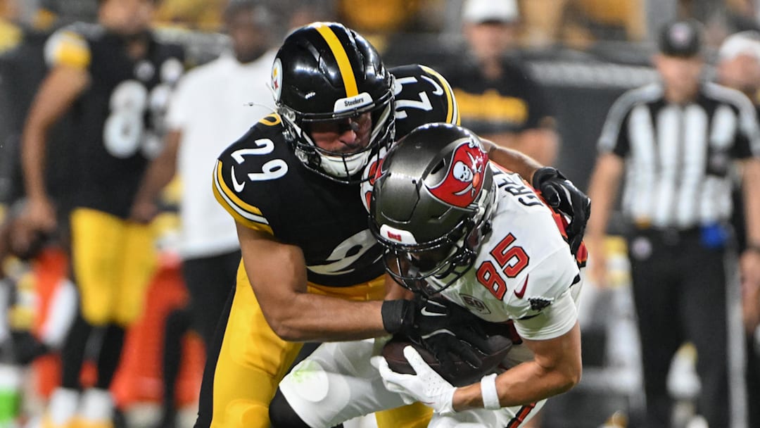 Sebastian Castro S Pittsburgh Steelers