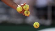In 2024, French Open men's champion Carlos Alcaraz and women's champion Iga Swiatek each earned €2.4 million for their victories. 