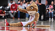 Mar 5, 2022; Pullman, Washington, USA; Washington State Cougars mascot Butch perform against the Oregon Ducks in the second half at Friel Court at Beasley Coliseum. Washington St. won 94-74. Mandatory Credit: James Snook-USA TODAY Sports
