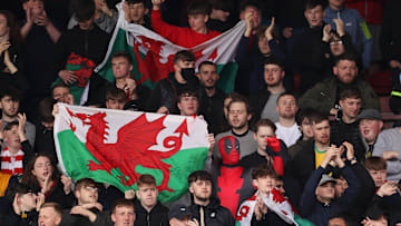 Tifosi gallesi