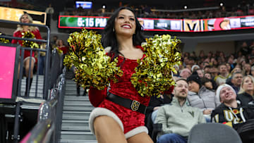 Ottawa Senators v Vegas Golden Knights