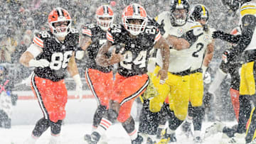 Nov 21, 2024; Cleveland, Ohio, USA; Cleveland Browns running back Nick Chubb (24) scores a touchdown during the second half against the Pittsburgh Steelers at Huntington Bank Field. Mandatory Credit: Ken Blaze-Imagn Images