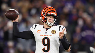 Cincinnati Bengals v Baltimore Ravens
