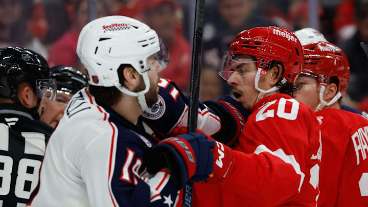Nov 22, 2025; Detroit, Michigan, USA;  c14 shoves Detroit Red Wings defenseman Albert Johansson (20) in the third period at Little Caesars Arena. Mandatory Credit: Rick Osentoski-Imagn Images