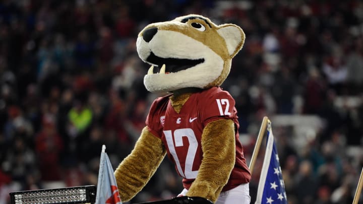 Nov 17, 2018; Pullman, WA, USA; Washington State Cougars mascot Butch rides an ATV onto the field before a game against the Arizona Wildcats at Martin Stadium. Mandatory Credit: James Snook-USA TODAY Sports