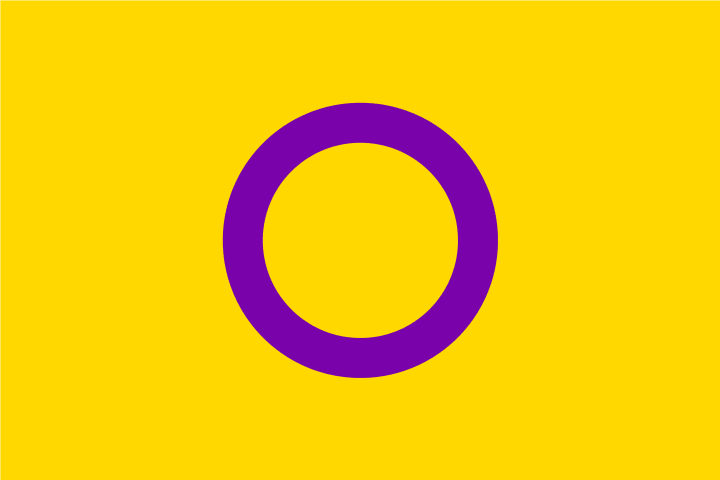 The intersex Pride flag, designed by Morgan Carpenter.