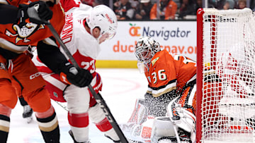 Detroit Red Wings v Anaheim Ducks