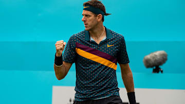 Juan Martín del Potro está cerca de retirarse