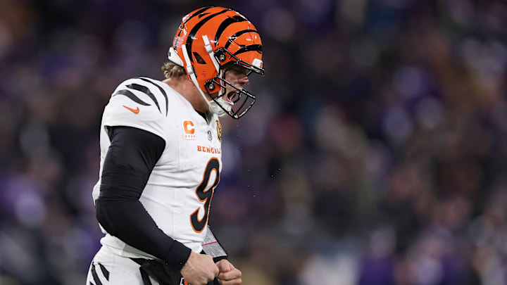 Cincinnati Bengals v Baltimore Ravens