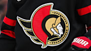 Nov 25, 2024; Ottawa, Ontario, CAN; View of a Ottawa Senators logo on a jersey worn by a member of the team during the second period at Canadian Tire Centre. Mandatory Credit: David Kirouac-Imagn Images