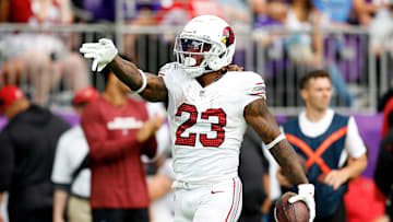 Arizona Cardinals v Minnesota Vikings