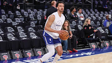 Landry Shamet, New York Knicks