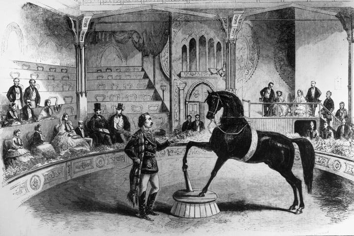 American trick horse Black Eagle performing before Queen Victoria and her family at the Great United States Circus, 1858.