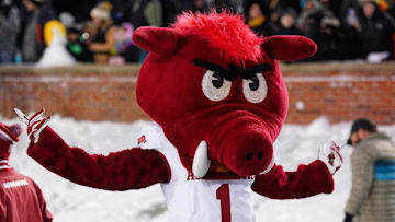 Nov 30, 2024; Columbia, Missouri, USA; The Arkansas Razorbacks mascot performs against the Missouri Tigers during the second half at Faurot Field at Memorial Stadium. Mandatory Credit: Denny Medley-Imagn Images