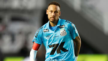 Santos v Botafogo - Brasileirao 2025