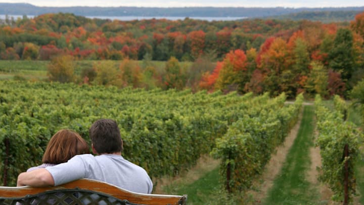 A couple looking at the vineyard at Chateau Grand Traverse Winery.