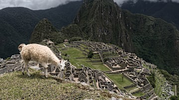 Incan Ruins of Machu Picchu, Peru