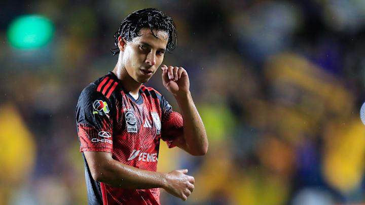 Tigres UANL v Puebla - Torneo Apertura 2024 Liga MX Tigres UANL v Puebla - Torneo Apertura 2024 Liga MX