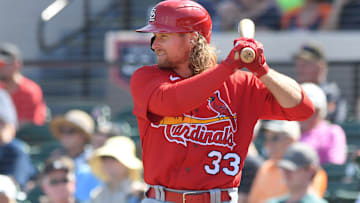 St. Louis Cardinals v Detroit Tigers