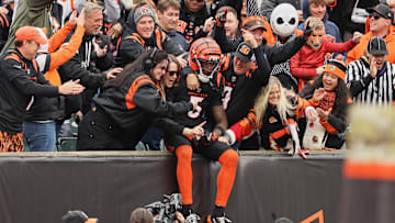 Nov 2, 2025; Cincinnati, Ohio, USA; Cincinnati Bengals wide receiver Tee Higgins (5) celebrates with fans after scoring a touchdown against the Chicago Bears during the second quarter at Paycor Stadium. Mandatory Credit: Joseph Maiorana-Imagn Images
