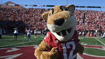Sep 9, 2023; Pullman, Washington, USA; Washington State Cougars mascot Butch performs against the Wisconsin Badgers in the first half at Gesa Field at Martin Stadium. Mandatory Credit: James Snook-Imagn Images