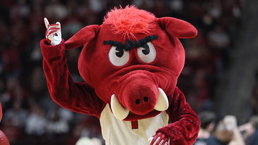 The Arkansas Razorbacks mascot performs during the second half against the Fresno State Bulldogs at Simmons Bank Arena. Arkansas won 82-58.