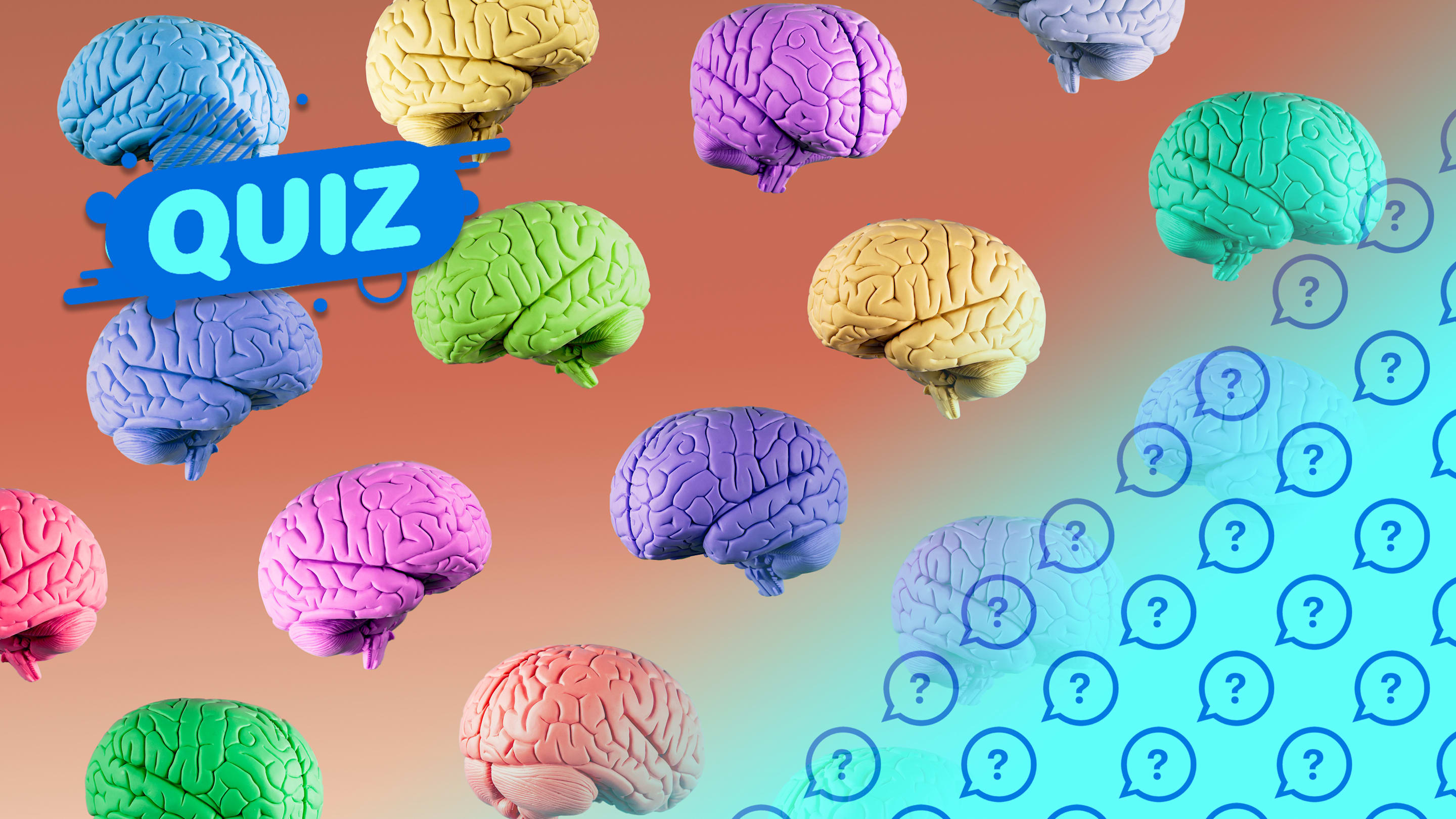 How Many of These 35 General Knowledge Trivia Questions Can You Get Right?