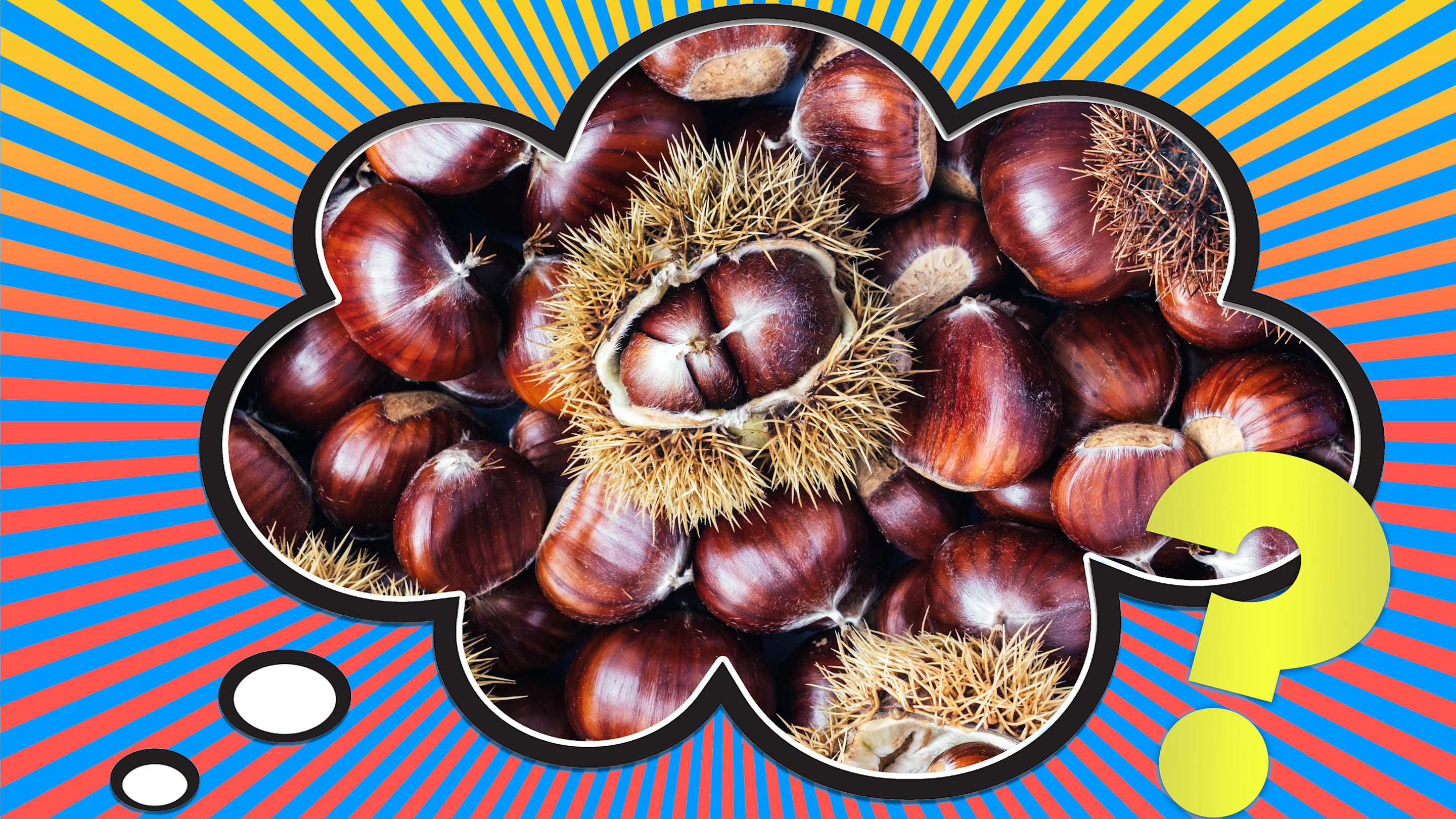 Why Are Oft-Repeated Jokes or Stories Sometimes Called “Old Chestnuts”?