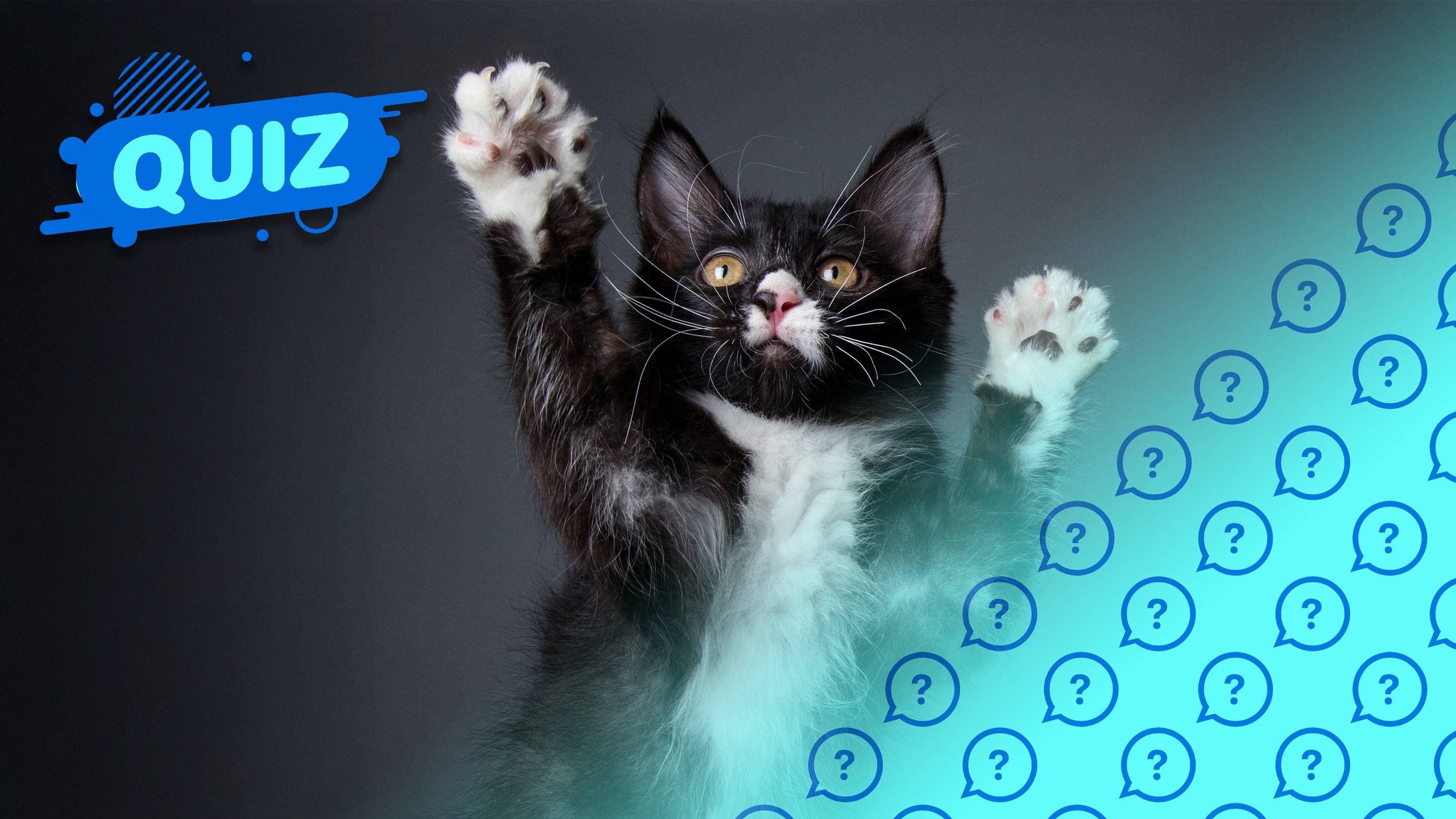 Can You Guess the Animal Phobia?