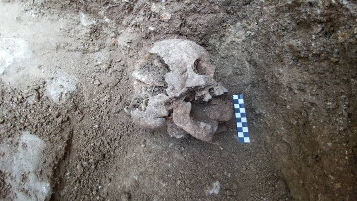 The skull of a 5th-century child, excavated from the ground, with a stone positioned in its mouth.