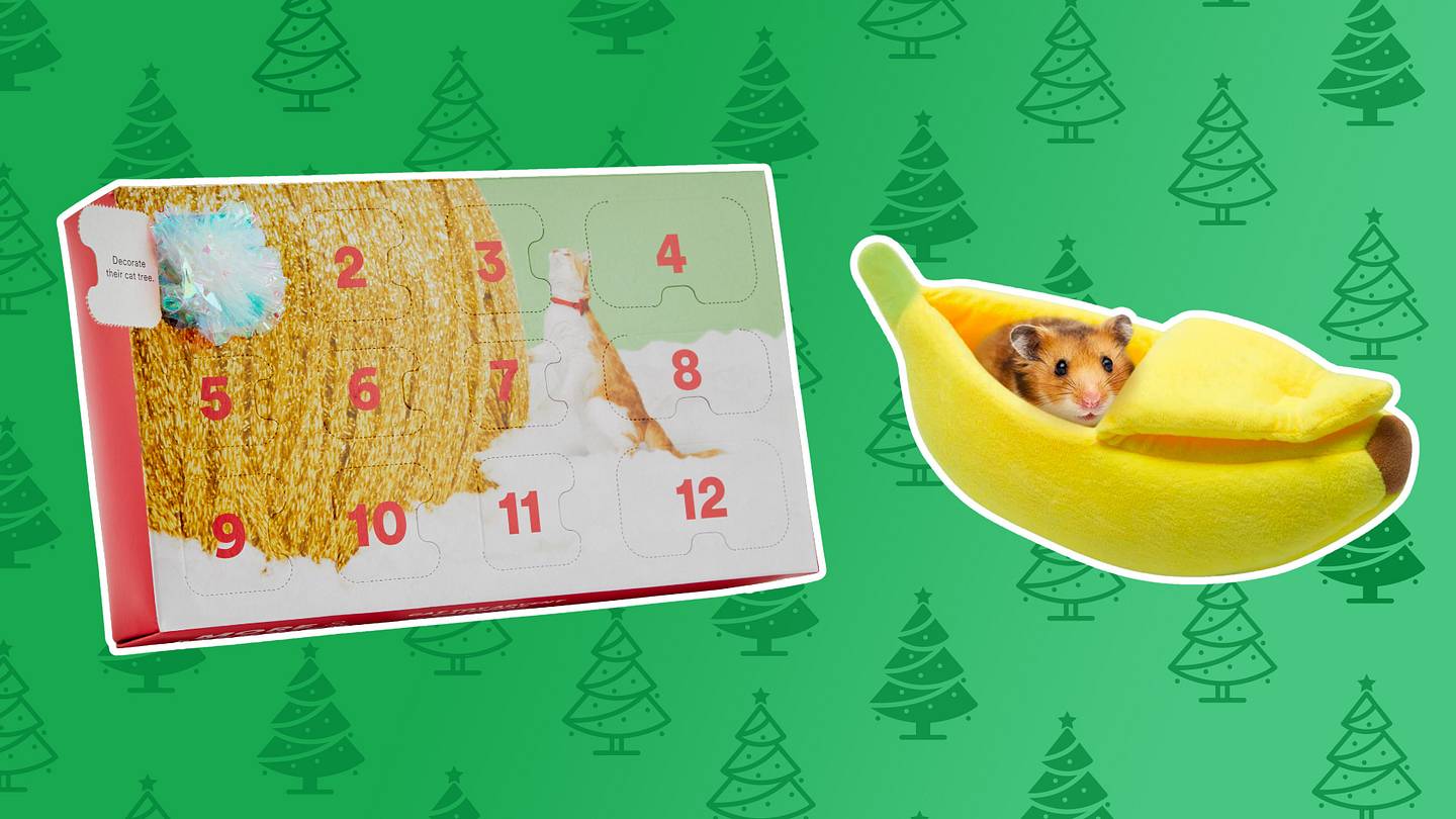 16 Gifts for Pet Parents