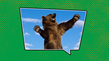 Irish has a name for grizzly bear, even if the bears don't inhabit the country.
