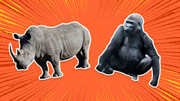 Both these animals are definitely real.