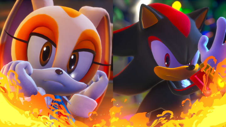 Cream and Shadow looking mean at each other.