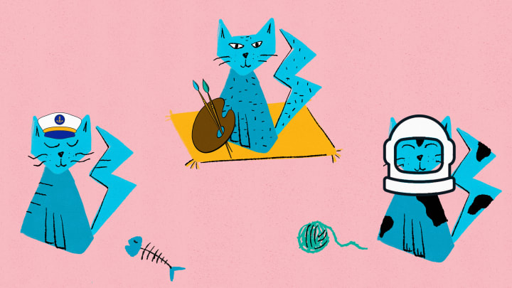 These cats went to sea and to space, and inspired artists, writers, and scientists.