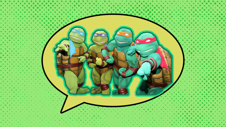 Turtle Power knows no limits.