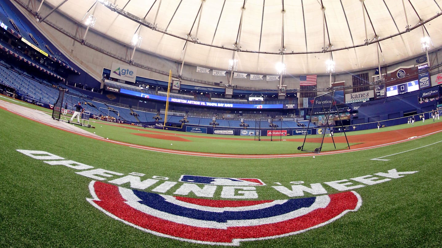 Tampa bay rays turf new arrivals