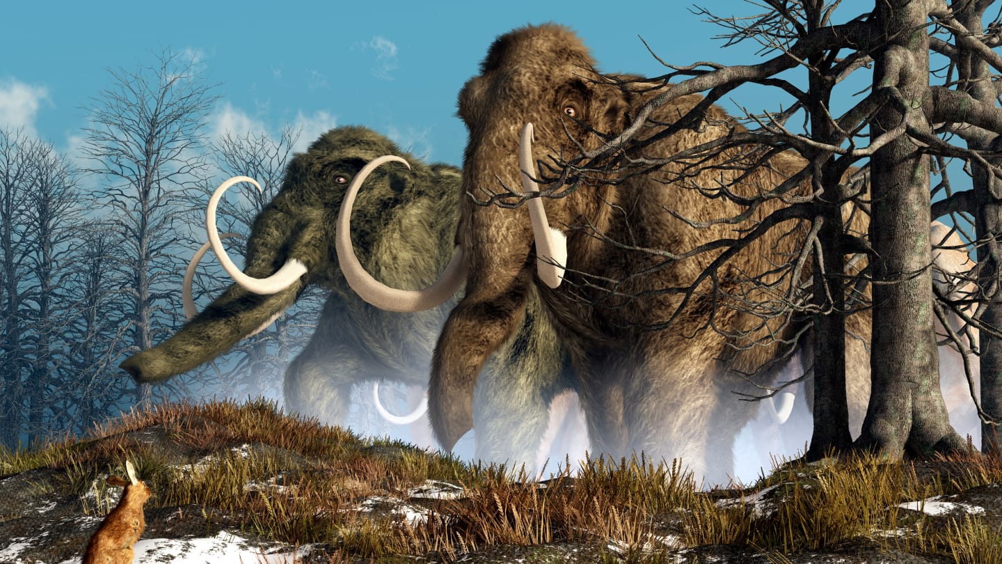 20 Facts about the Ice Age