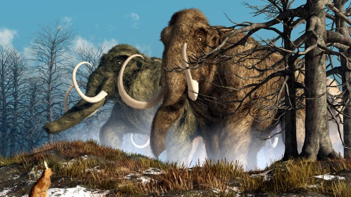 Megafauna like woolly mammoths dominated during the ice age.