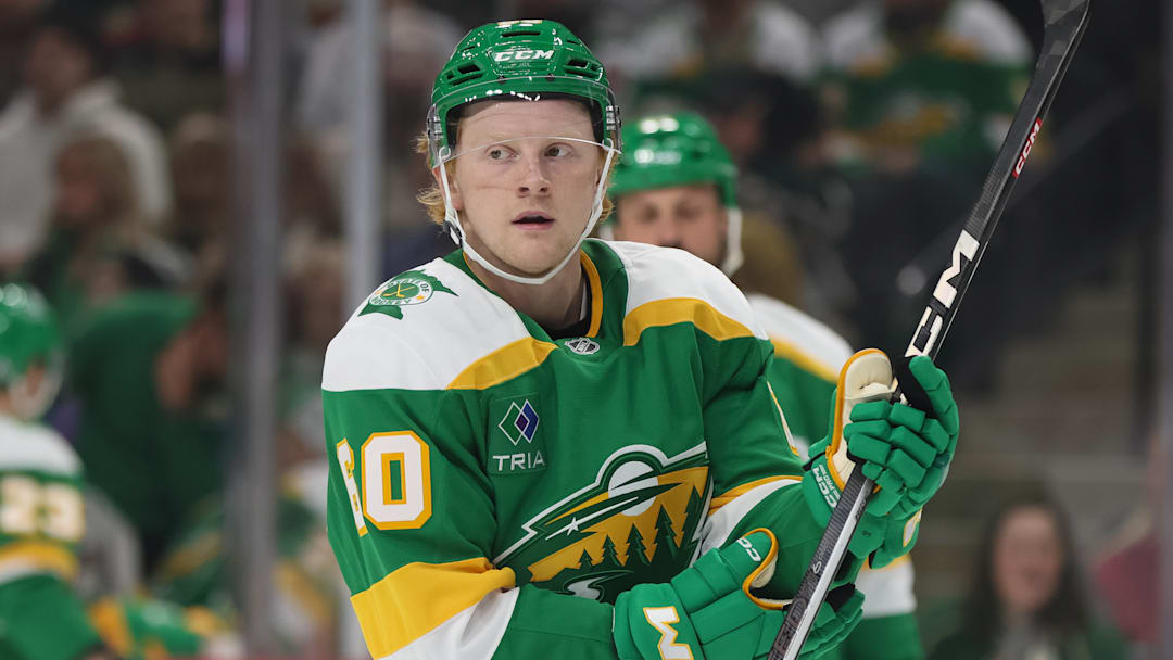 NHL: NOV 16 Stars at Wild