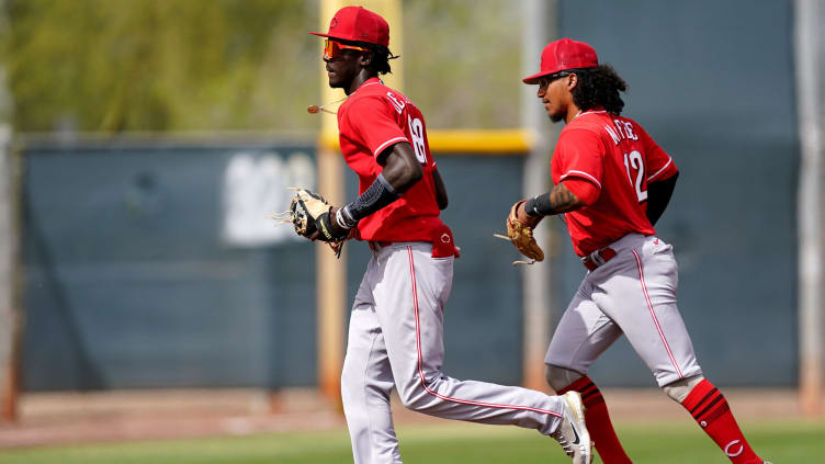 Cincinnati Reds minor league shortstop Elly De La Cruz.