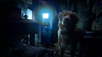 Good Boy - Courtesy Overlook