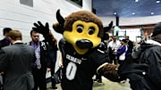 University of Colorado Mascot Chip in the concourse of Coors Field before the game between Chicago Cubs against the Colorado Rockies. 