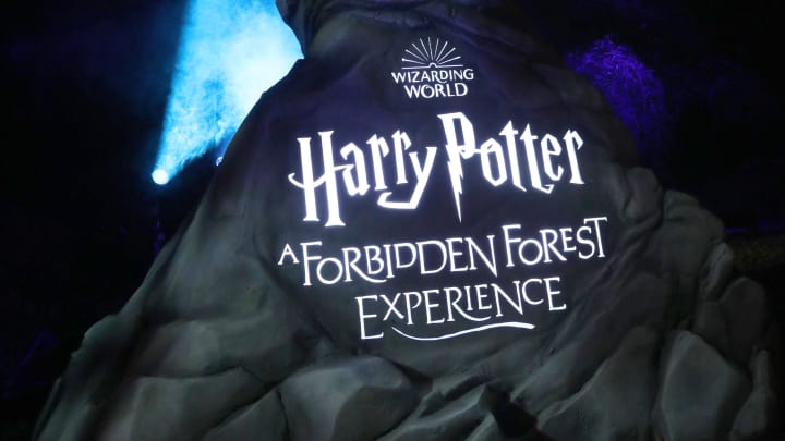 Harry Potter's Patronus is pictured during an \"inside look\" at Harry Potter: A Forbidden Forest Experience at the Franklin D. Roosevelt State Park in Yorktown Heights, photographed Oct. 20, 2022. The attraction will run through Jan. 22, 2023, although it could be extended due to demand