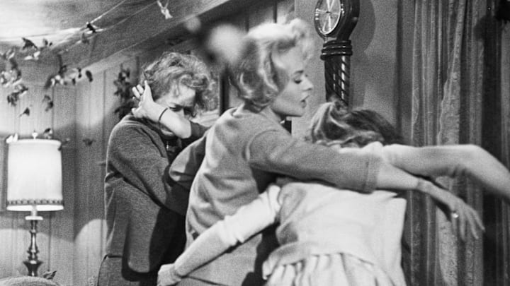 Jessica Tandy, Tippi Hedren and Veronica Cartwright in The Birds